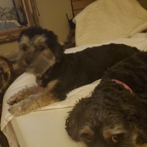 Meet your Posher, April